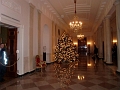 White House Christmas 2009 070